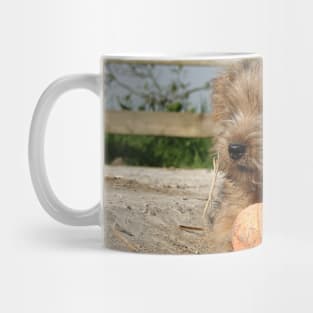 Keep your eye on the ball Mug